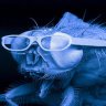 anunexpectedfly