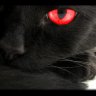 blacklucy