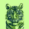 GreenXander