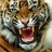 Tigerclaw531