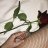 Pinkgloss47