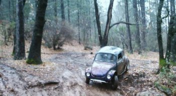 vwman67