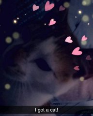 Lolabear419