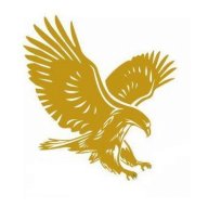 goldenfalcon2
