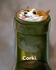 RealCookichu