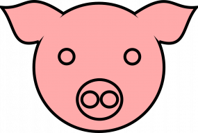 AnonymousPig