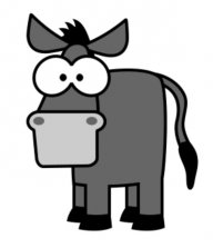 donkey5k