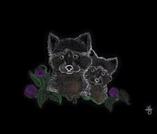 CreepyRose
