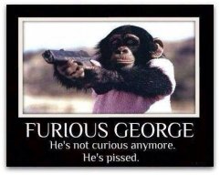 FuriuosGeorge