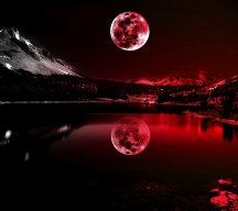 _StariLight_