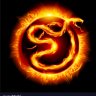 FireSnakeCM