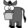 donkey5k