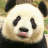 PekkachuGaming
